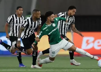 Palmeiras empata com o Botafogo e perde a liderança do Brasileirão