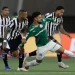 Palmeiras empata com o Botafogo e perde a liderança do Brasileirão