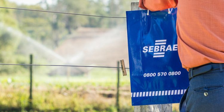 Sebrae-SP seleciona pequenos produtores rurais da região para a 1ª edição da Faesp Show em Avaré